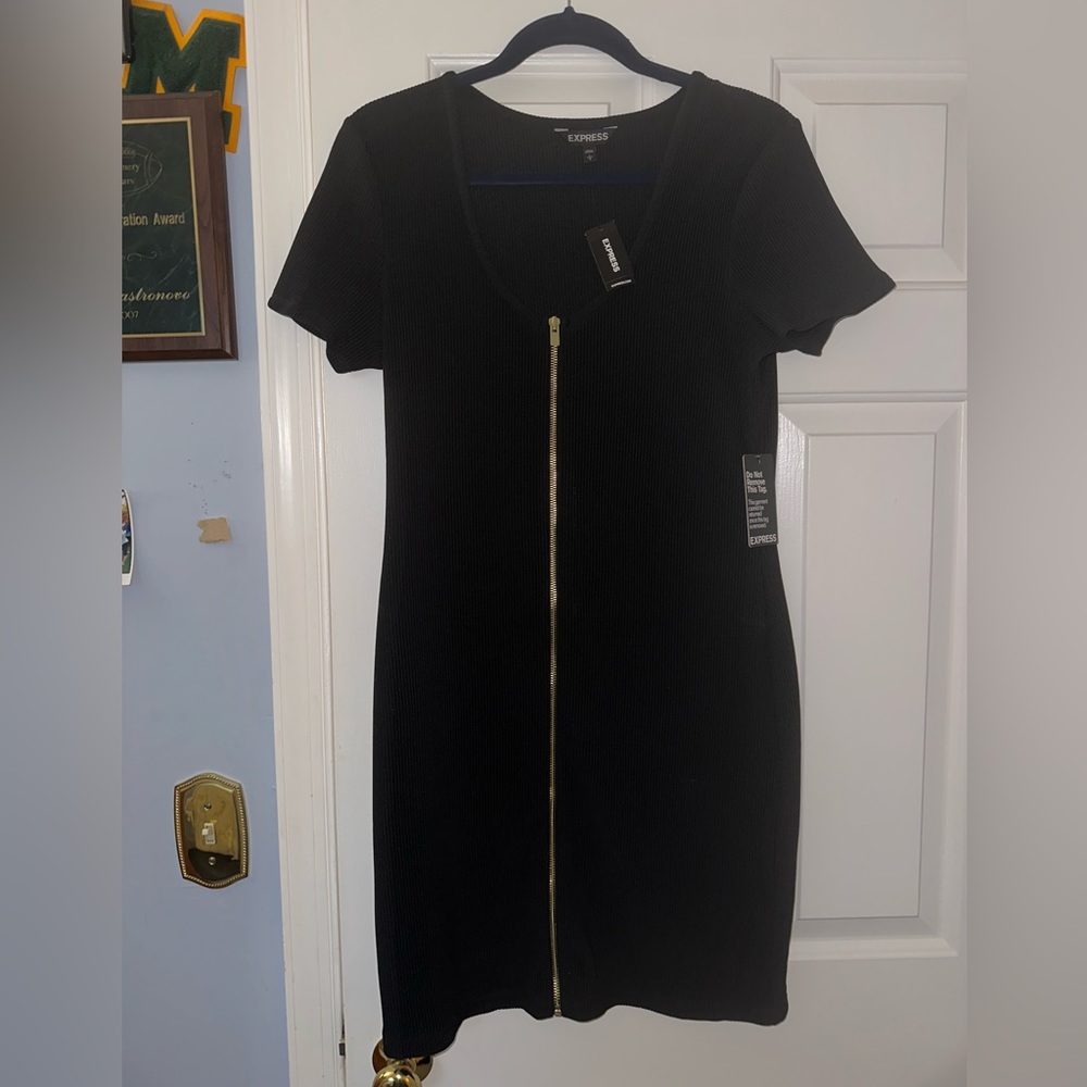 Express Black Zip Up Dress